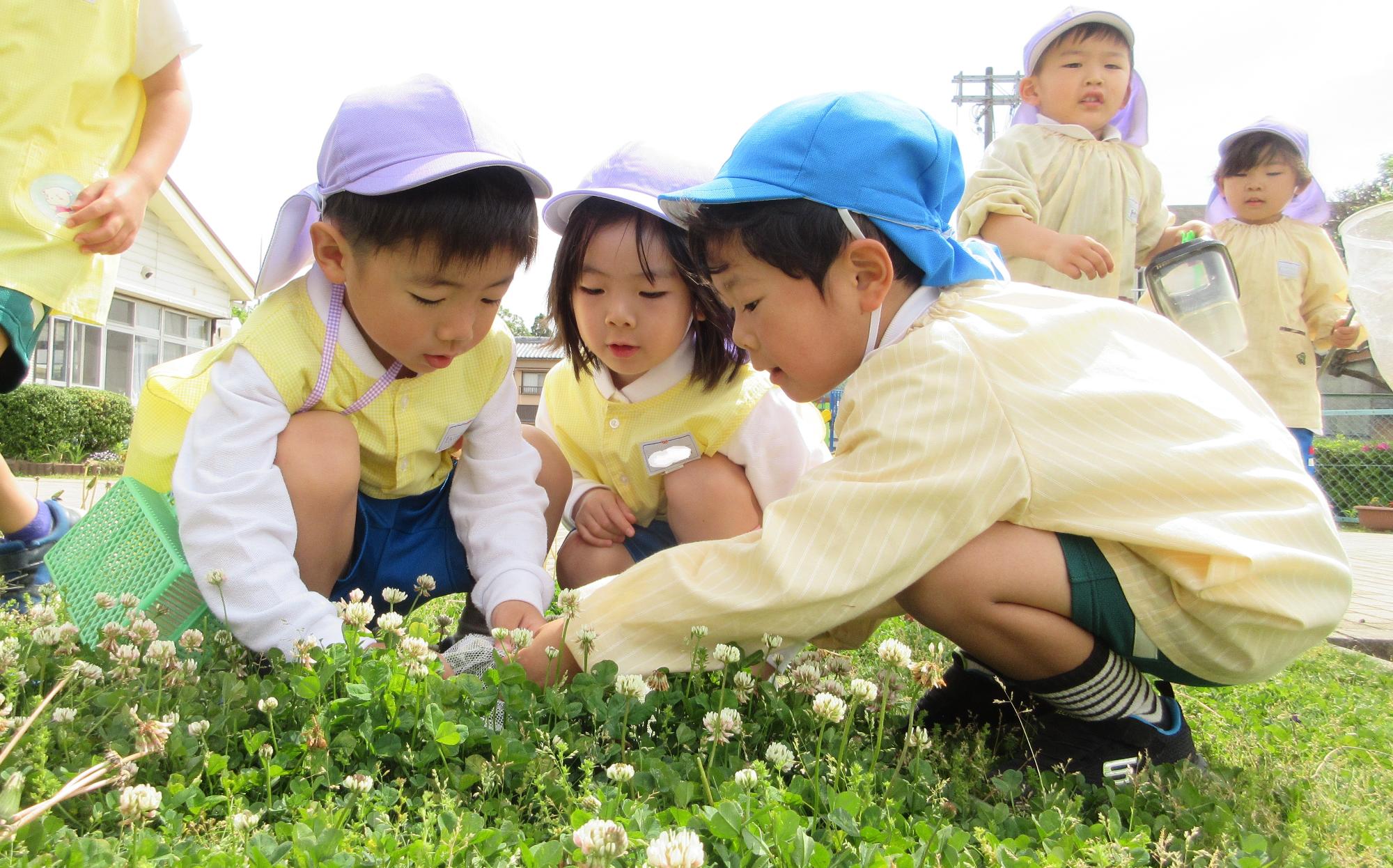 異年齢のお友達と一緒に園庭の芝生で虫たちを発見！「あっ！てんとうむし！」